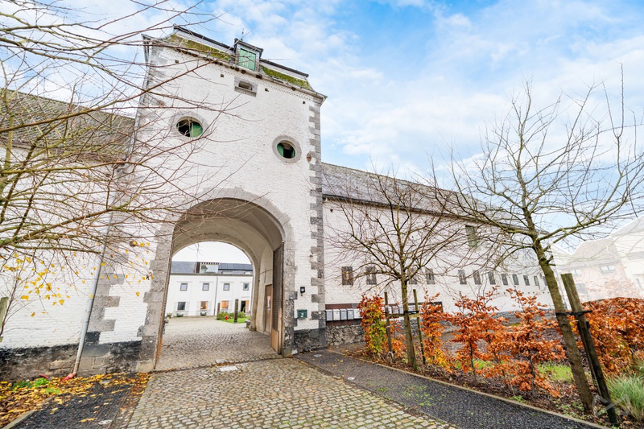 Baron 239/17L- WBO239/17L